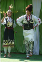 primorsko-text