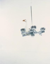 design-husa-fotografie