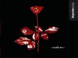 violator