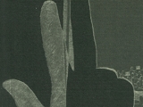 v-prachu-perex