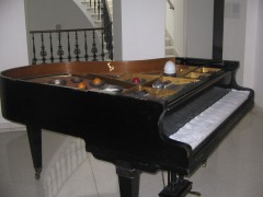nikl-2