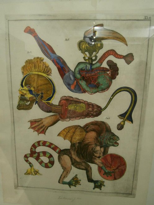 svankmajer-1
