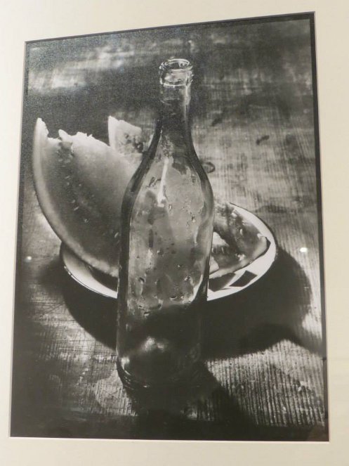 sudek-1