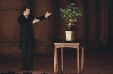 06_ilusionista