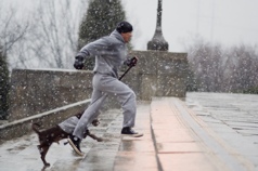 rocky_2 rocky_2