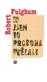 co jsem to proboha udelal