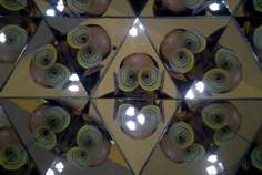 orbis pictus_2