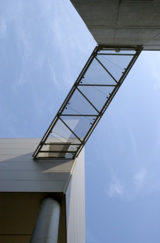 franek1