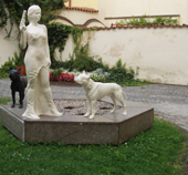 skavovazona