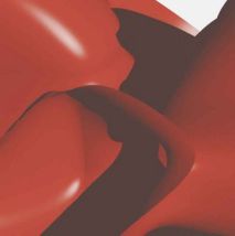 severov-detail-um