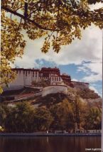 tibet-potala